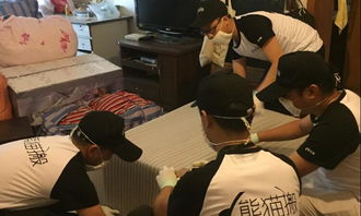 樂山精品搬家服務(wù)與室內(nèi)外裝飾工程設(shè)計 打造高品質(zhì)生活空間