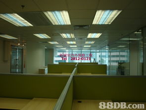 新誠裝修 專業(yè)施工，精準(zhǔn)報(bào)價(jià)，打造理想空間